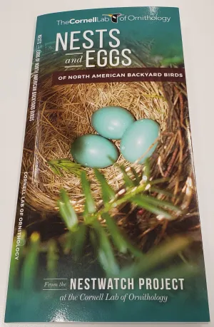 Pocket Guide-Nests and Eggs of North American Backyard Birds